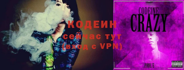 крисы Богородск