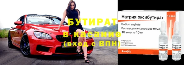 прущие грибы Богданович