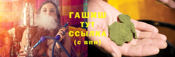 прущие грибы Богданович