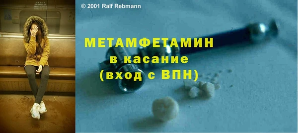 прущие грибы Богданович