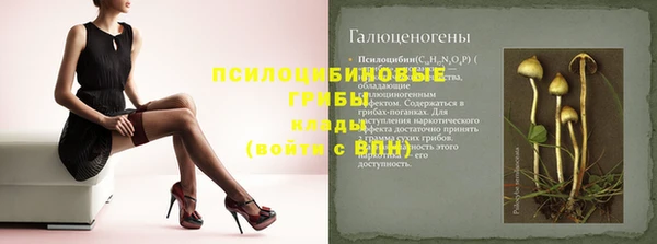 прущие грибы Богданович