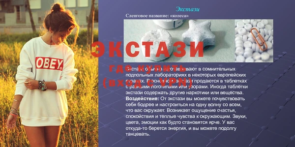 прущие грибы Богданович