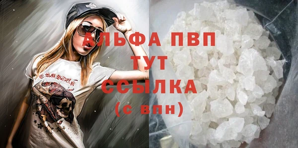 прущие грибы Богданович