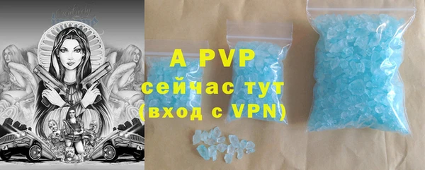прущие грибы Богданович