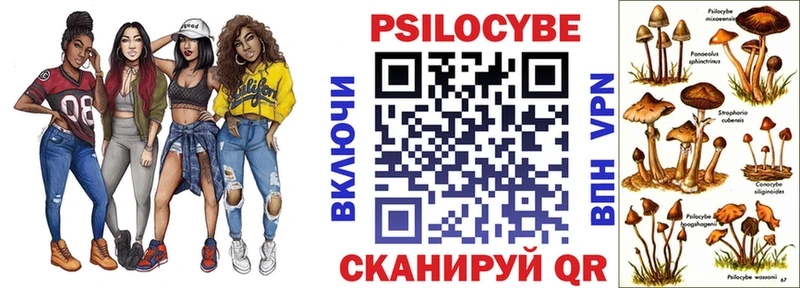 Галлюциногенные грибы мицелий  Шадринск 